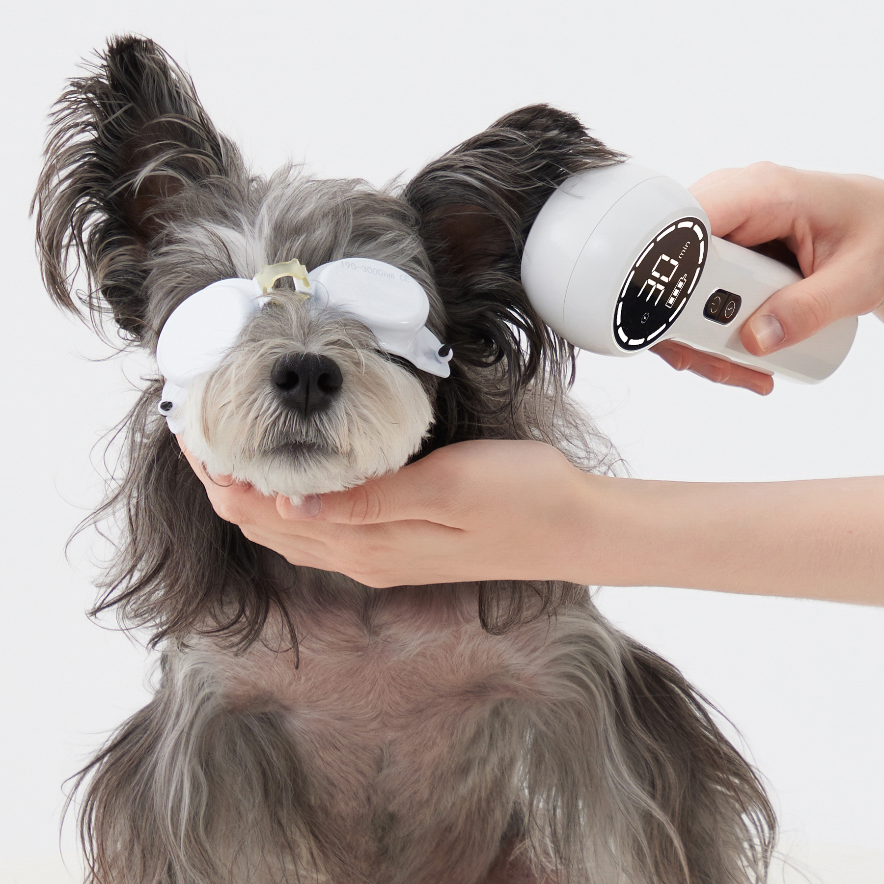 PowerCure VET product photo from PowerCure